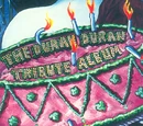 The Duran Duran Tribute Album