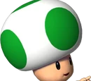 Green Toad