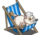Deck Chair Cat