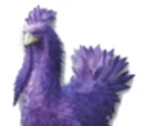 Purple Chocobo