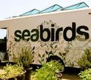 Seabirds