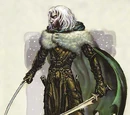 Drizzt Do'Urden