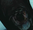 Dementor's Kiss