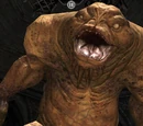 Gortoel