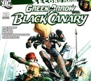 Green Arrow and Black Canary Vol 1 28