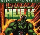 Hulk Visionaries: Peter David Vol 1 8