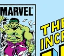 Incredible Hulk Vol 1 298