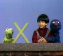 Muppet & Kid Moments: Grover and Kermit