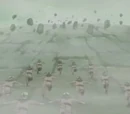 Arte Ninja: Avalancha de Rocas