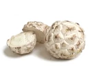 Puff ball mushroom