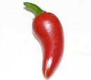 Fresno pepper