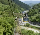 Sakiverse