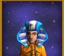 Icycalm Coif