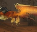 Fledgling Chimaera