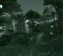 Cenarion Thicket