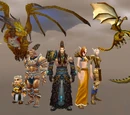 Bronze dragonflight