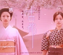 Koto