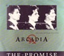 The Promise - South Africa: EMIJ 2010057