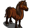 Yonaguni Horse