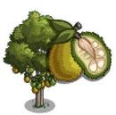 Jaca Tree-icon.png