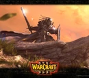 Warcraft III: Reign of Chaos