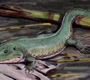Cochleosaurus