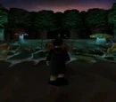 Ravenclaw Duelling Arena