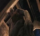 Quirinus Quirrell's first mountain troll