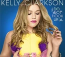 I Do Not Hook Up (song)