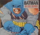 Batman: The Dark Knight Returns Vol 1 2