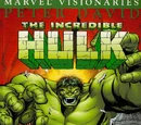 Hulk Visionaries: Peter David Vol 1 5