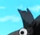 Ahō Bird