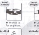 Hand Seals