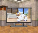 Flat-Screen TV