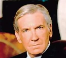 David Warner