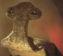 Momaw Nadon