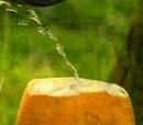 Sri Lankan Beverages