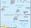 Micronesian Cuisine