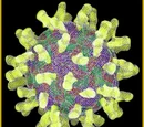 Common cold