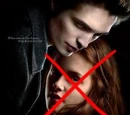 Reasons Bella screwed everything up