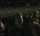 Caliban