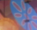 Andy4.jpg