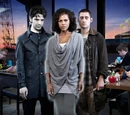 Series 4