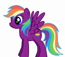 Violet Rainbow