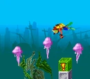 Shark Attack