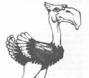 Axe beak