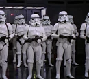 Cuerpo de soldados de asalto