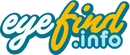 Eyefind.info-GTA4-logo.PNG