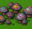 Poisonous mushroom