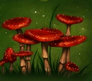 Fat red toadstool